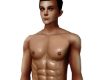 Lex Extra Skin V3
