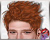 [LD]MelocGinger