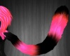 Pink Black Mauve Tail