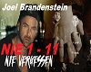 Nie Vergessen 