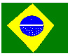 BRASIL SHIRT CANARINHO