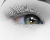 Beautiful Hazel Eyes