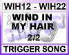 WIND IN MY HAIR 2/2