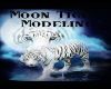 moon tiger modeling