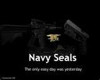 Navy Seals1