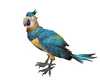 Exotic Parrot Anim