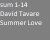 David Tavare Summer Luv
