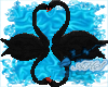 Black Love Swans