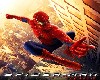 !Spiderman Movie Poster!