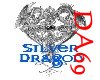 Silver Dragon Coven