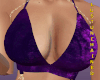ŀ⊍ |  TopVelvetPurple