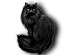 Black Cat Contra