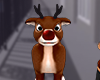 Reindeer Pet