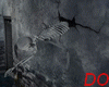 CHAOS  SKELETON