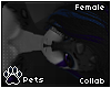[Pets] Fayr 2.0 |hair v6