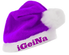 iGeiNa-