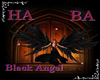 [HA]Black Angel Light