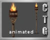 CTG ANIMATED TORCH