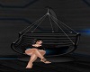 Cuddle Swing Chair