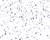 Purple / Silver Confetti
