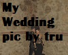 My Wedding picture