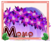 Zo Zo's Flowers