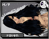 ~Dc) Raven Kyoko [m/f]