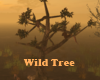 Stay Wild Tree ani
