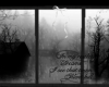 rainy window