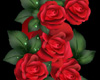 *R* Red Rose