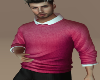 Autumn Berry Sweater