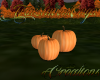 (T)Fall Pumpkins