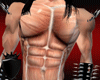 Muscle Master body