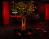Plante