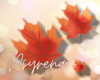 Falling Maple leaves