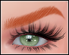Diane V4 Ginger