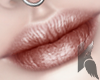 K. Idril Lips lV