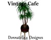 vintage cafe plant