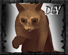 Cat animated