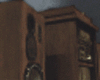 snpdrnk Vynil