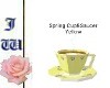 JW Spring Cup&Saucer Yel