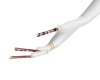 SexxiiSoulaan
