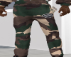 ʀ | voɴ