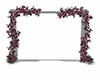 Arch Wedding fucshia