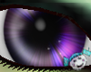 W! Contusion Eyeballs