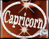 Capricorn Earrings
