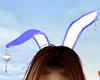 FG~ Bunny Lilac Ears