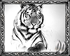 ~DD~ White Tiger Pic 11