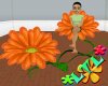 ~Oo Orange2 Flower Chair
