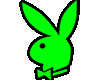 Playboy Bunny Green